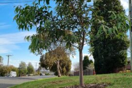 Bacchus Marsh pride