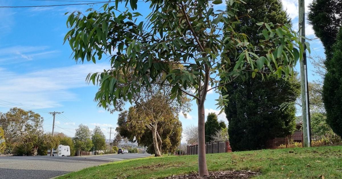 Bacchus Marsh pride