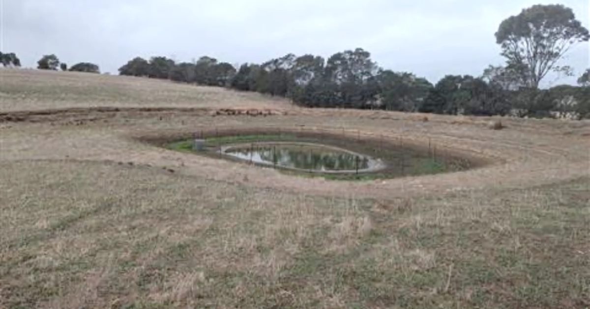 drought recovery workshop