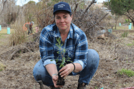 Healthy Cities Landcare