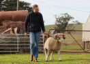 Caitlin Grieve farmer