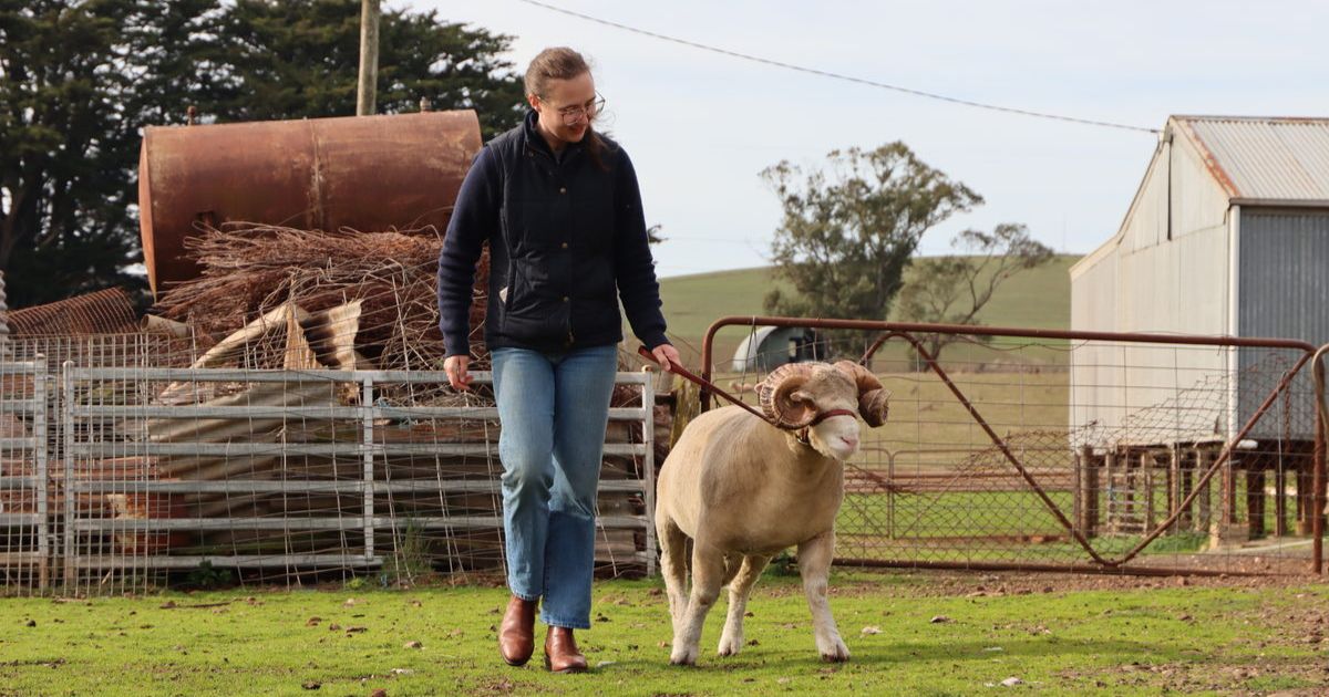 Caitlin Grieve farmer