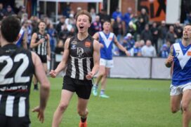 Darley premiership win