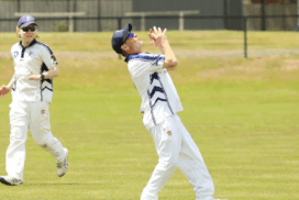 Ballan Cricket Update