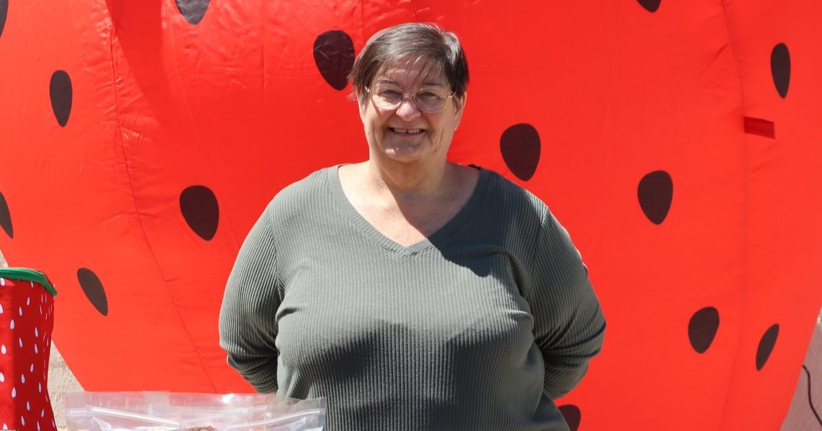 Bacchus Marsh Strawberry and Cherry Festival