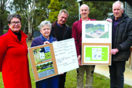 Tiny Towns grants