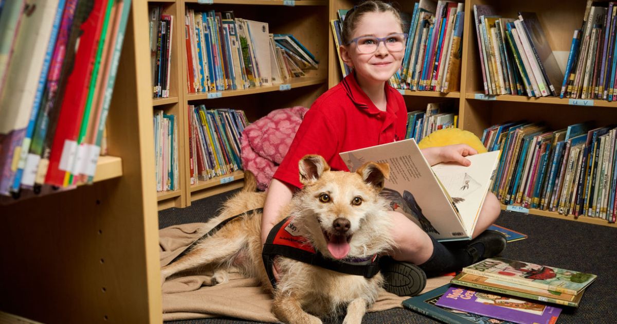 Petstock Foundation Project