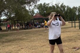 Peppertree Park toilet