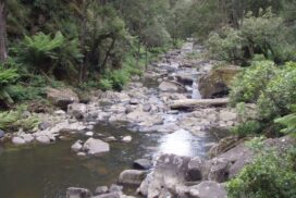 Western Region Water Strategy