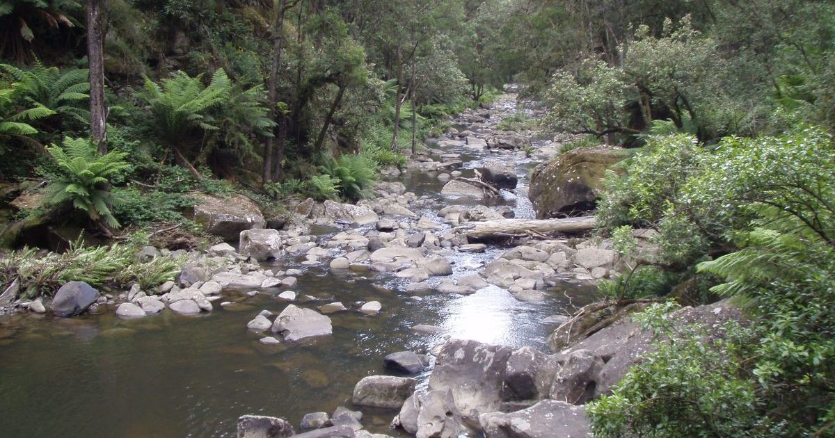 Western Region Water Strategy