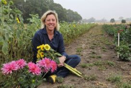 Valentine's Day Flowers