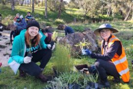 GWW Thriving Communities grants