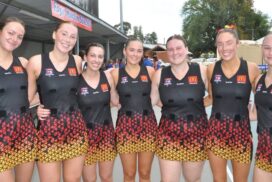 Cobras netball win