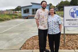 Gordon vet clinic