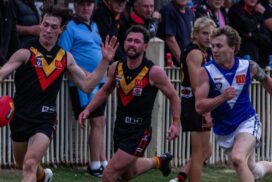 BFNL round 7
