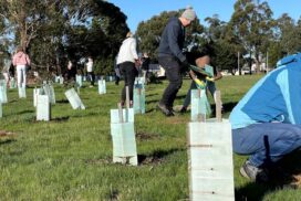 Moorabool Landcare Festival