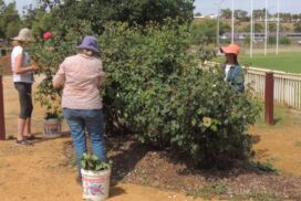 Bacchus Marsh Garden Volunteers