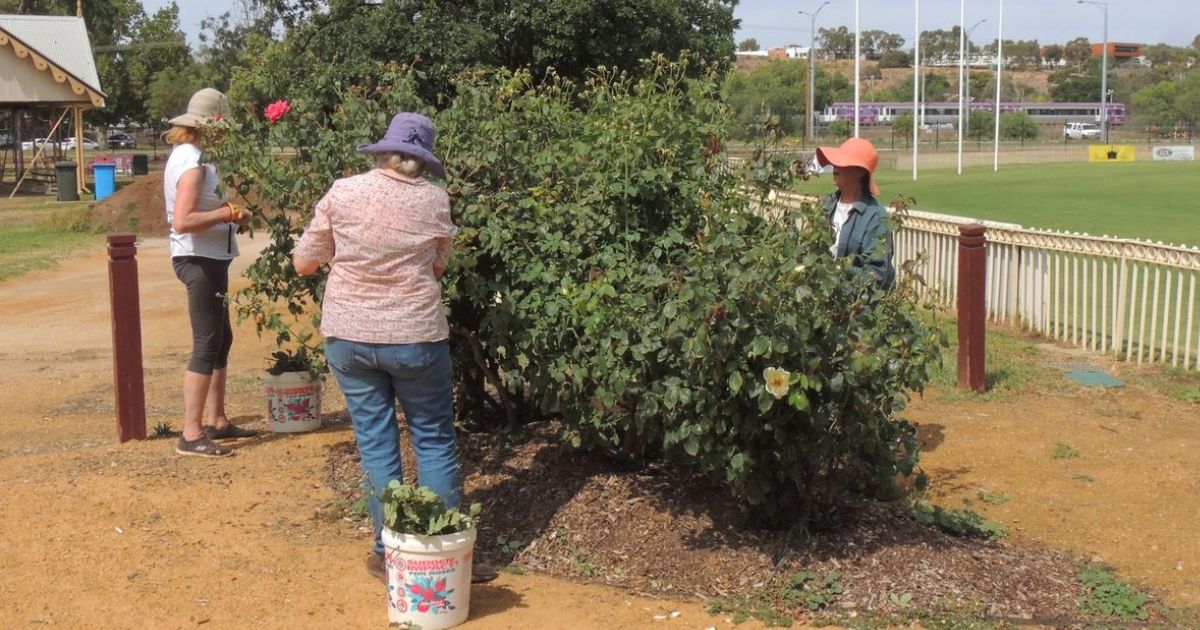 Bacchus Marsh Garden Volunteers