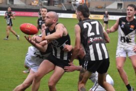 Darley Devils BFNL