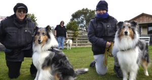Ballan dog scent work
