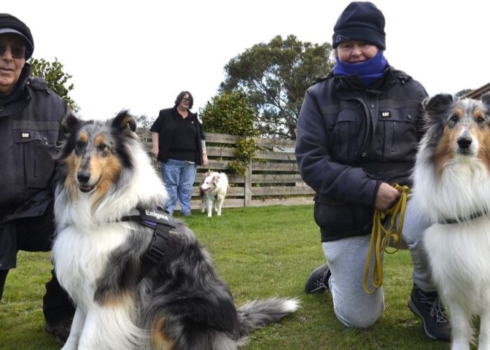 Ballan dog scent work