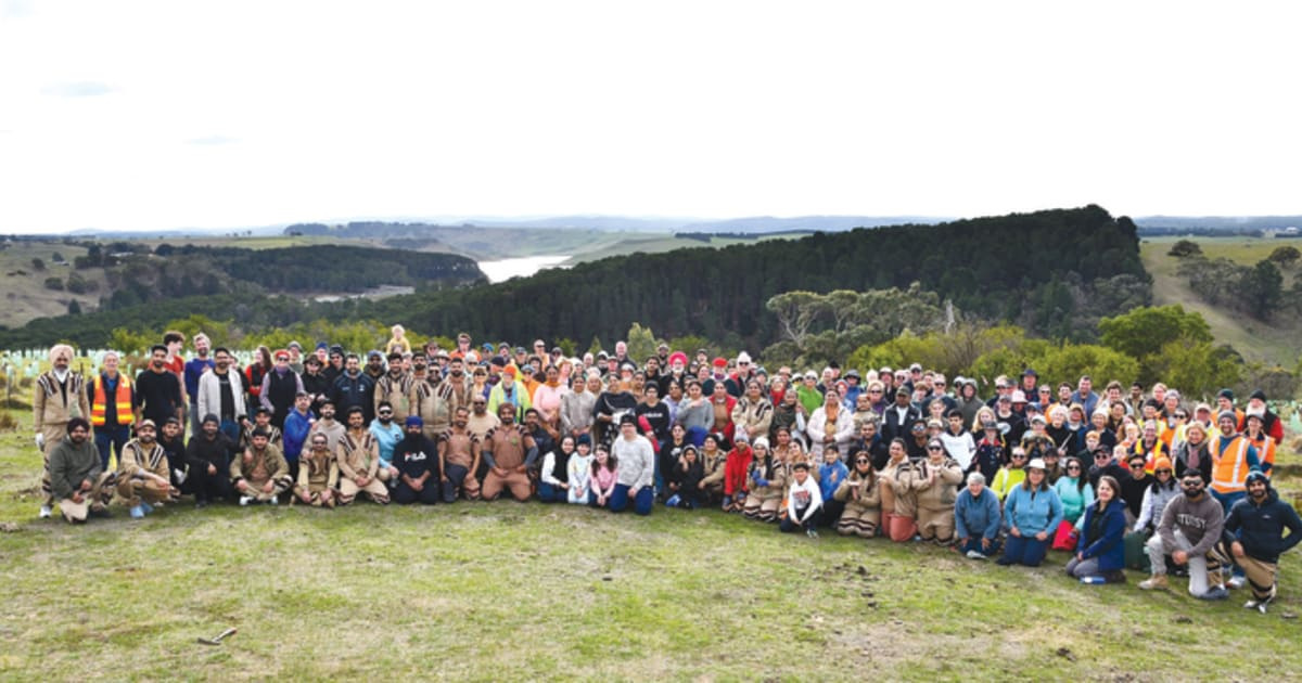 community planting people