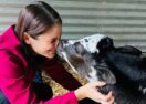 Beremboke wildlife rescue