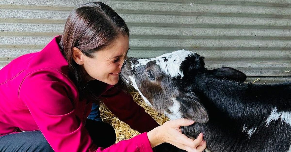 Beremboke wildlife rescue