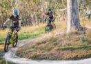 Restore public spaces NSW
