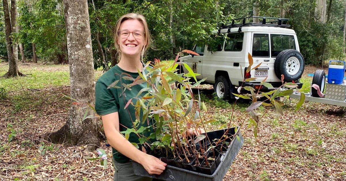 Urban tree planting grants