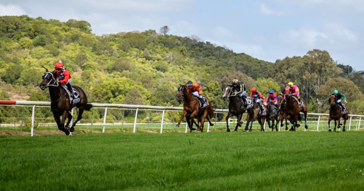 Lismore Cup