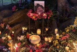 Support for Mullumbimby family