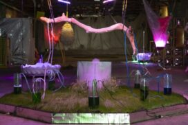Ballina art exhibitions