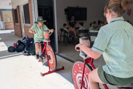 STEM sustainability education