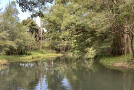 land management workshops