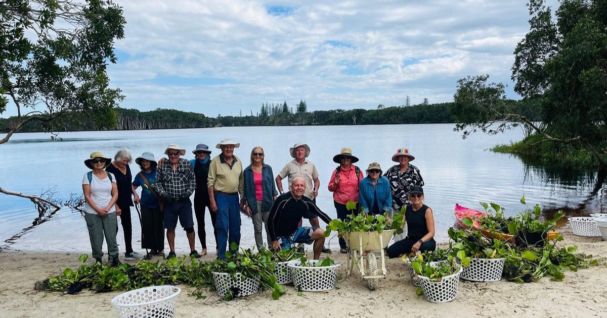 Lake Ainsworth weed control