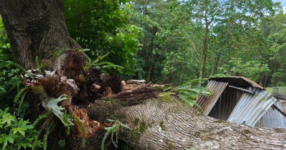 Northern Rivers storms