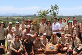 ReForest Now Milestone