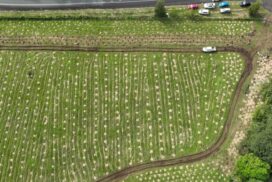 Northern Rivers restoration