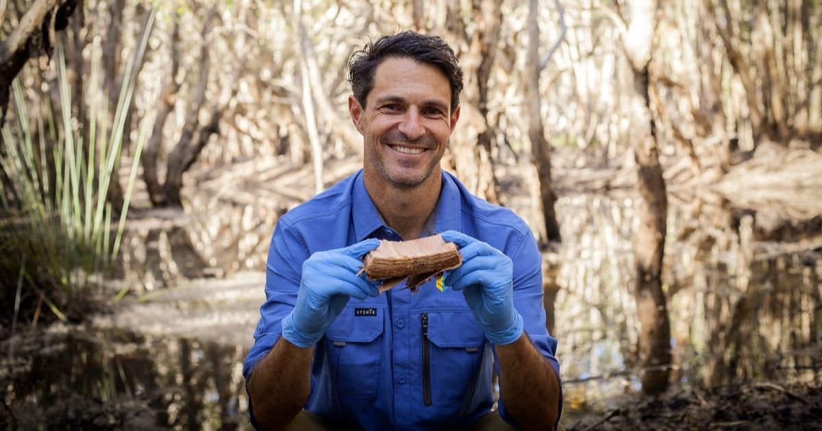 SCU tree bark research
