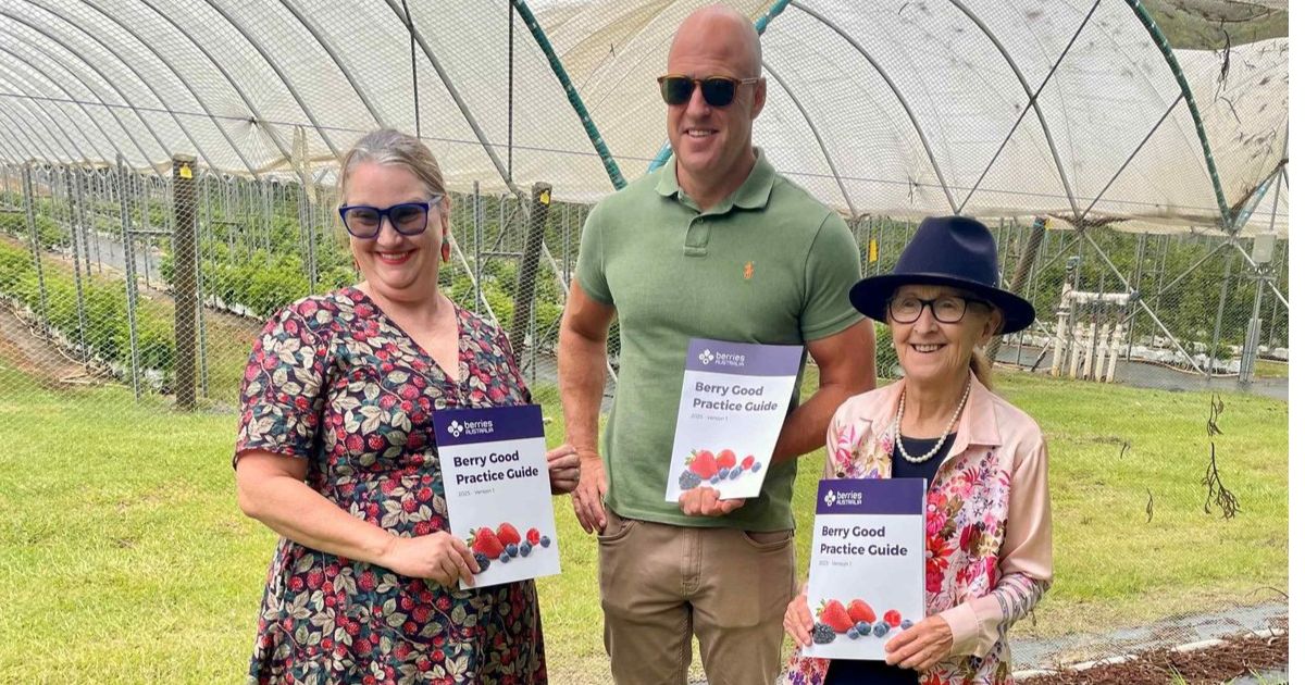 Northern NSW berry industry