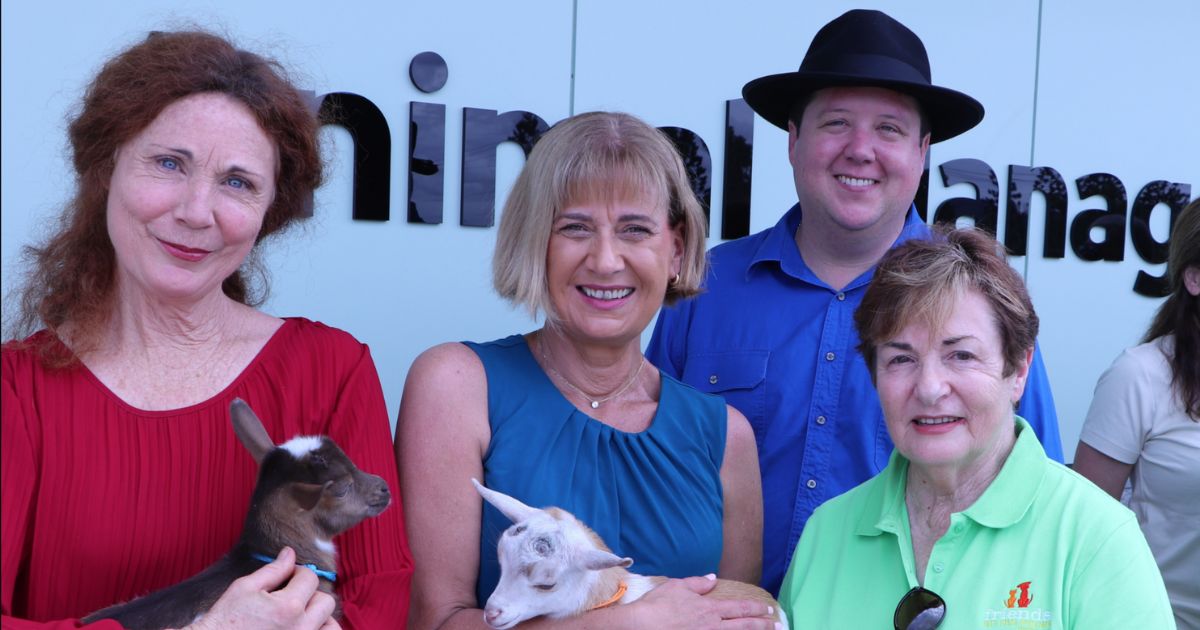 Tweed animal shelter