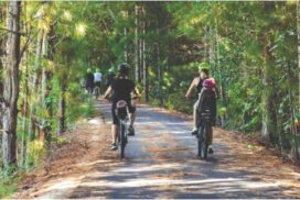 Tweed Rail Trail