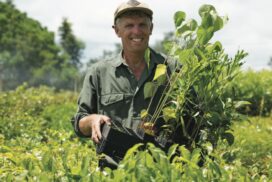 Lismore native plant nursery