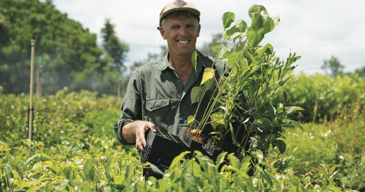 Lismore native plant nursery