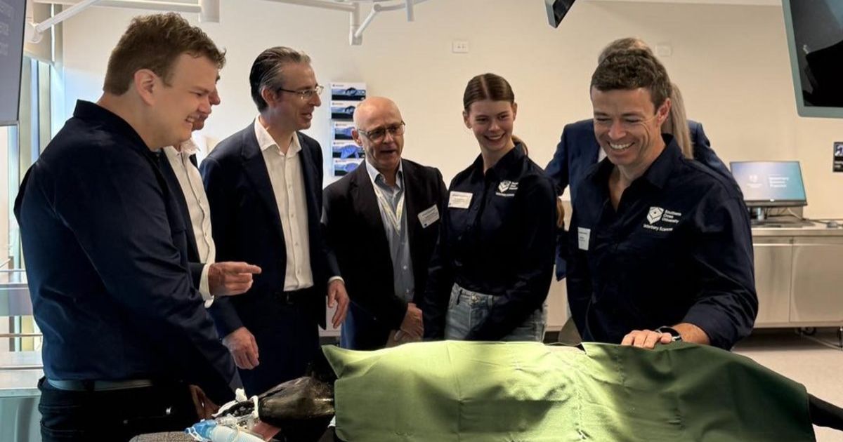 Regional veterinary training
