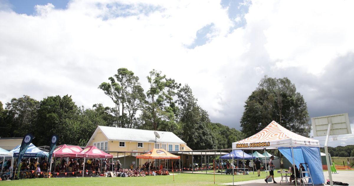 Interschool cross country