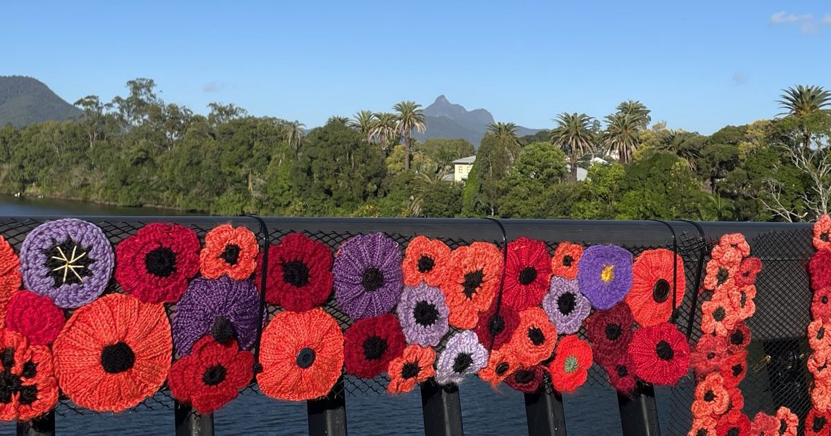 Anzac Day poppies