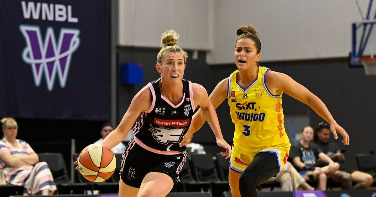 WNBL growth