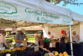 Murwillumbah Farmers' Market